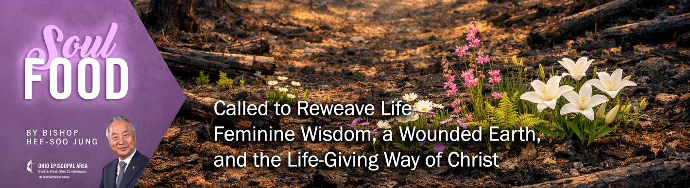Called to Reweave Life:
Feminine Wisdom, a Wounded Earth, and the Life-Giving Way of Christ